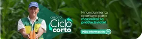 Catálogo Banecuador en Chillanes | Ahorro Programado  | 2024-11-12 - 2024-12-31