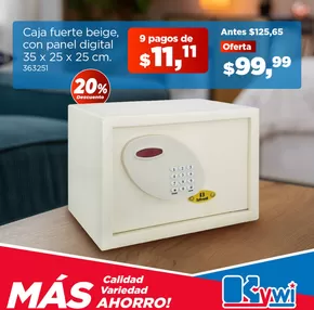 Catálogo Kywi | Gran variedad de ofertas | 2025-01-13T00:00:00-05:00 - 2025-01-31T23:59:00-05:00