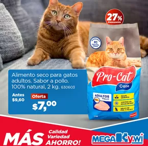 Catálogo Kywi |  Consiente a tu felino con su comida favorita y los mejores juguetes. | 2025-01-13T00:00:00-05:00 - 2025-01-31T23:59:00-05:00