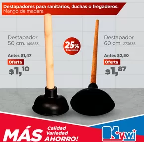 Catálogo Kywi en Riobamba | Calidad Ahorro! | 2025-01-22T00:00:00-05:00 - 2025-01-31T23:59:00-05:00