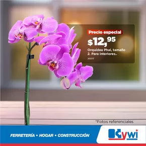 Catálogo Kywi | Precio especial | 2025-03-05T00:00:00.000Z - 2025-03-31T00:00:00.000Z