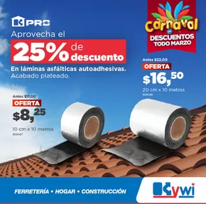 Catálogo Kywi | 25%dscto en láminas | 2025-03-10T00:00:00.000Z - 2025-03-31T00:00:00.000Z